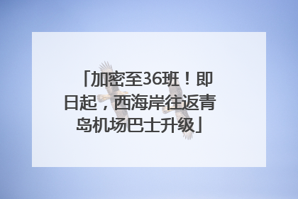 加密至36班！即日起，西海岸往返青岛机场巴士升级