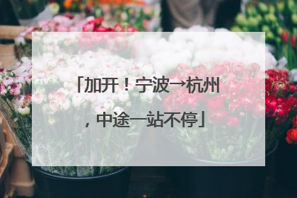 加开！宁波→杭州，中途一站不停