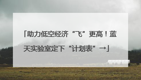 助力低空经济“飞”更高！蓝天实验室定下“计划表”→