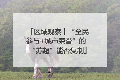 区域观察丨“全民参与+城市荣誉”的“苏超”能否复制