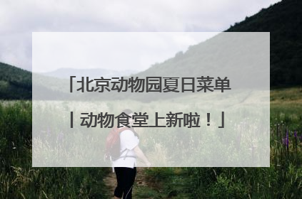 北京动物园夏日菜单丨动物食堂上新啦！