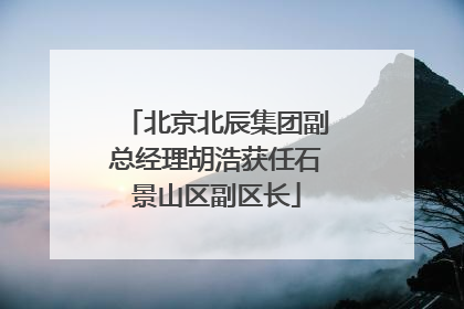 北京北辰集团副总经理胡浩获任石景山区副区长