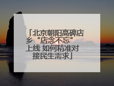 北京朝阳高碑店乡“店念不忘” 上线 如何精准对接民生需求