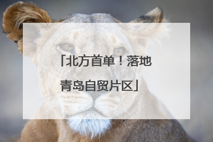 北方首单！落地青岛自贸片区