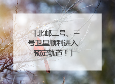 北邮二号、三号卫星顺利进入预定轨道！
