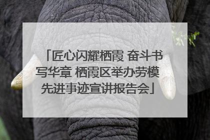 匠心闪耀栖霞 奋斗书写华章 栖霞区举办劳模先进事迹宣讲报告会