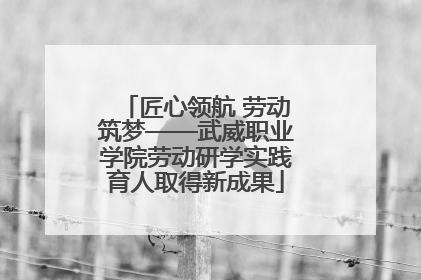 匠心领航 劳动筑梦——武威职业学院劳动研学实践育人取得新成果