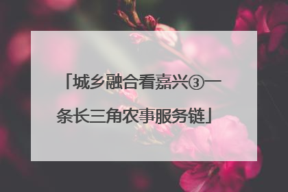 城乡融合看嘉兴③一条长三角农事服务链