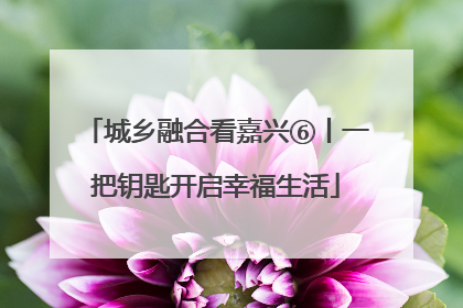 城乡融合看嘉兴⑥丨一把钥匙开启幸福生活
