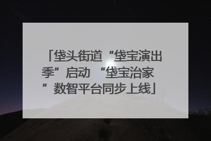 垡头街道“垡宝演出季”启动 “垡宝治家”数智平台同步上线