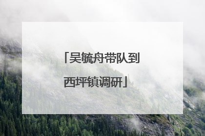 吴毓舟带队到西坪镇调研