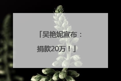 吴艳妮宣布：捐款20万！