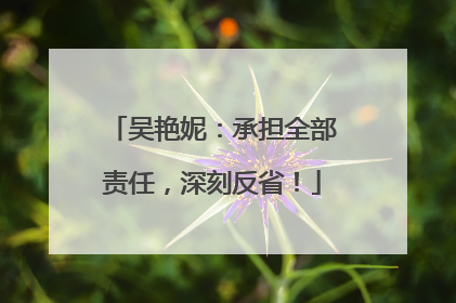 吴艳妮：承担全部责任，深刻反省！