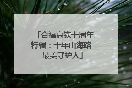合福高铁十周年特辑：十年山海路 最美守护人
