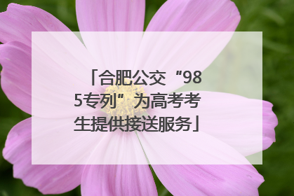 合肥公交“985专列”为高考考生提供接送服务
