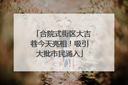 合院式街区大吉巷今天亮相！吸引大批市民涌入