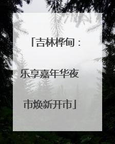 吉林桦甸：乐享嘉年华夜市焕新开市