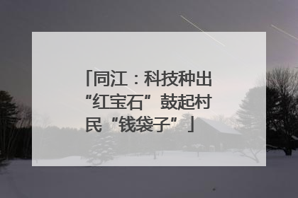 同江：科技种出“红宝石”鼓起村民“钱袋子”