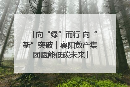 向“绿”而行 向“新”突破｜襄阳数产集团赋能低碳未来