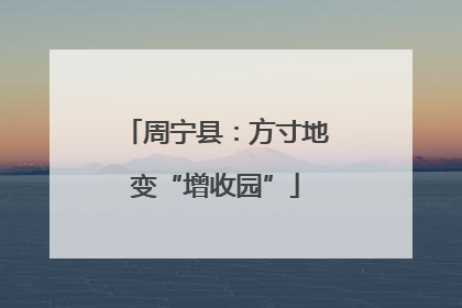 周宁县：方寸地变“增收园”
