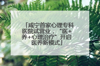咸宁首家心理专科医院试营业，“医+养+心理治疗”开启医养新模式