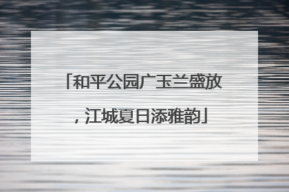 和平公园广玉兰盛放，江城夏日添雅韵