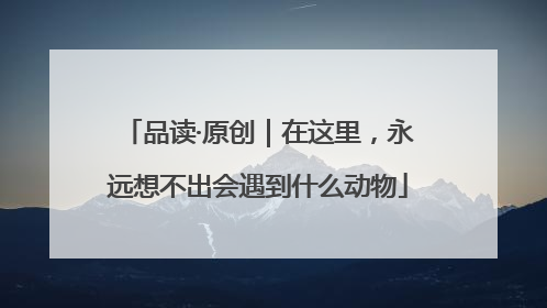 品读·原创｜在这里，永远想不出会遇到什么动物