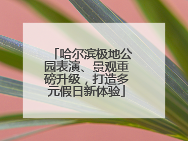 哈尔滨极地公园表演、景观重磅升级，打造多元假日新体验