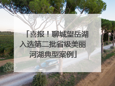 喜报！聊城望岳湖入选第二批省级美丽河湖典型案例