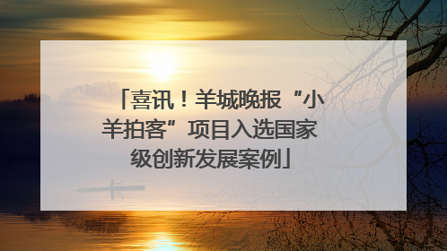 喜讯！羊城晚报“小羊拍客”项目入选国家级创新发展案例