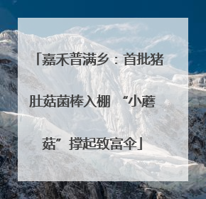 嘉禾普满乡：首批猪肚菇菌棒入棚 “小蘑菇”撑起致富伞