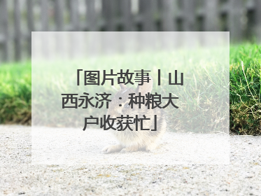 图片故事丨山西永济：种粮大户收获忙