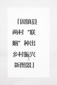 固镇县两村“联姻”种出乡村振兴新图景