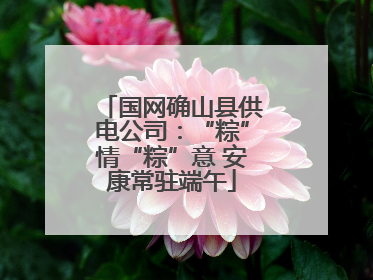 国网确山县供电公司：“粽”情“粽”意 安康常驻端午