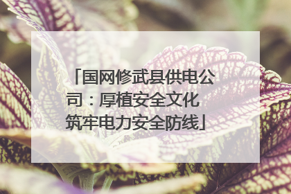 国网修武县供电公司：厚植安全文化 筑牢电力安全防线