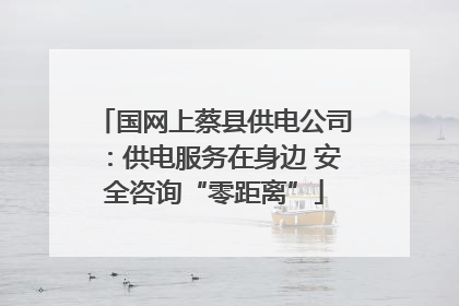 国网上蔡县供电公司：供电服务在身边 安全咨询“零距离”
