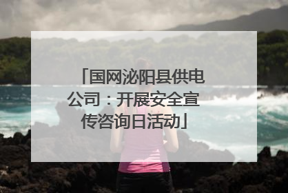国网泌阳县供电公司：开展安全宣传咨询日活动