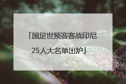 国足世预赛客战印尼25人大名单出炉