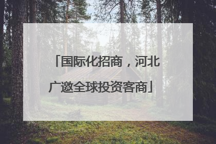 国际化招商，河北广邀全球投资客商