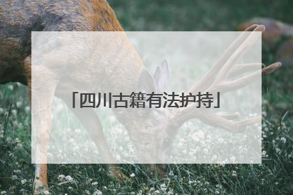四川古籍有法护持