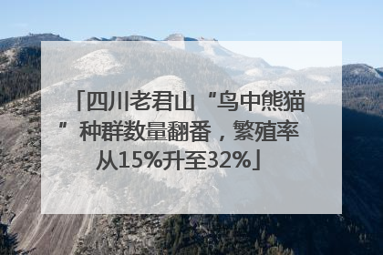 四川老君山“鸟中熊猫”种群数量翻番，繁殖率从15%升至32%