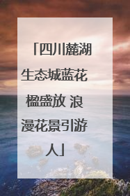 四川麓湖生态城蓝花楹盛放 浪漫花景引游人