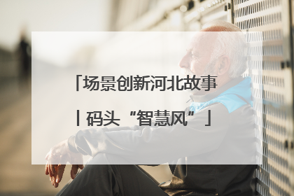场景创新河北故事丨码头“智慧风”