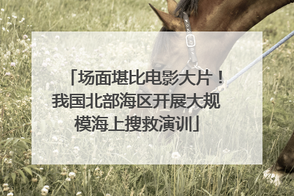 场面堪比电影大片！我国北部海区开展大规模海上搜救演训