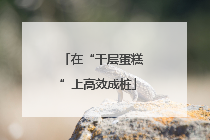 在“千层蛋糕”上高效成桩