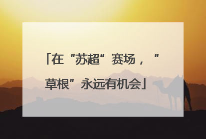 在“苏超”赛场，“草根”永远有机会