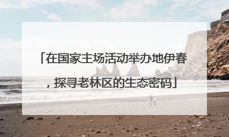 在国家主场活动举办地伊春，探寻老林区的生态密码