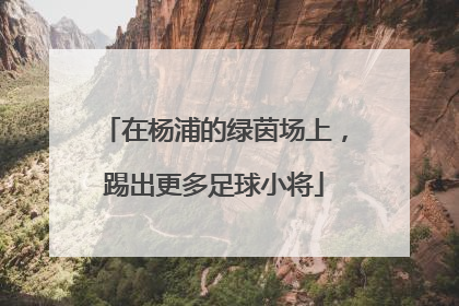 在杨浦的绿茵场上，踢出更多足球小将