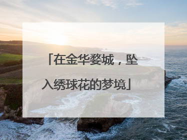 在金华婺城，坠入绣球花的梦境