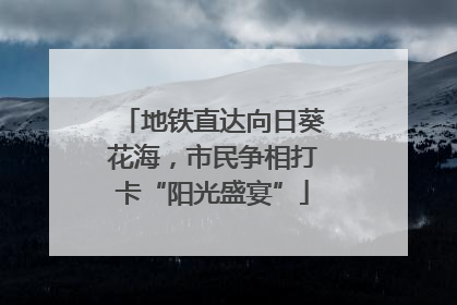 地铁直达向日葵花海，市民争相打卡“阳光盛宴”